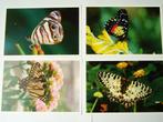 vlinder stentor hond spaniel kaarten ansichtkaart kaart, Ophalen of Verzenden, 1980 tot heden, Ongelopen