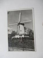ansichtkaart Panoramamolen Rhenen, Verzenden, 1960 tot 1980, Ongelopen, Utrecht