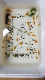 Alg eters, Dieren en Toebehoren, Vissen | Aquariumvissen, Vis