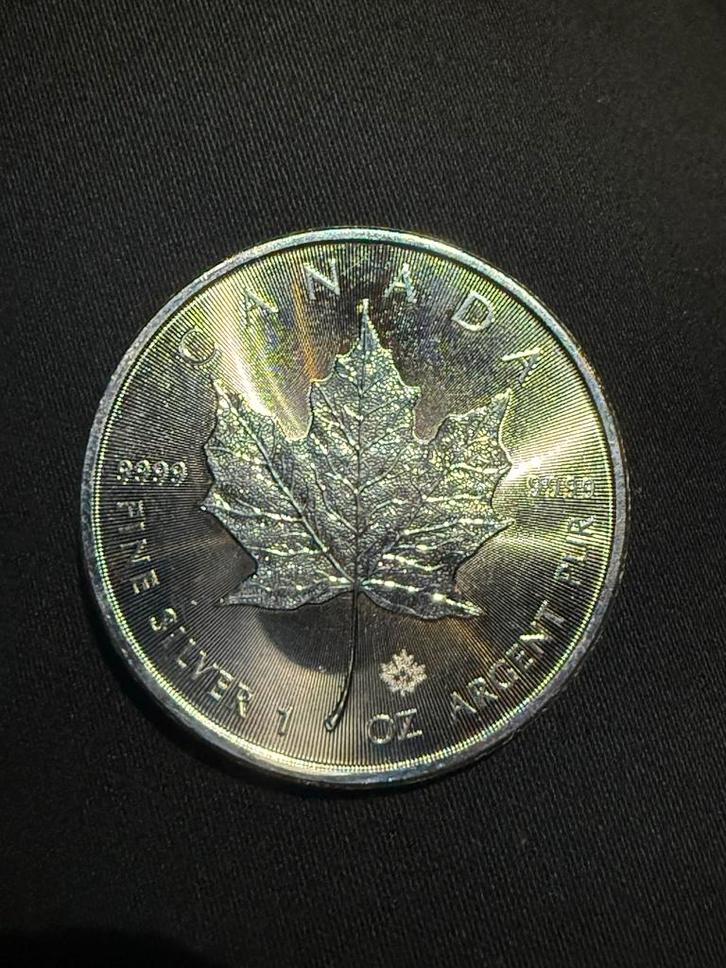 Zilveren Maple Leaf 2020, Postzegels en Munten, Munten | Nederland, Losse munt, Euro's, Zilver, Ophalen of Verzenden