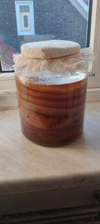 Scoby + startersvloeistof voor kombucha, Diversen, Ophalen