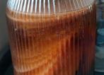 Kombucha scoby, Ophalen