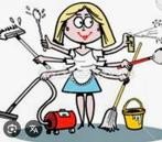 Aangeboden hulp in huishouding, Overige vormen