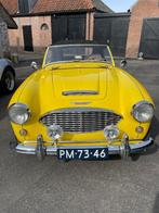 Austin Healey 100/6 (1957) Waardestijgende Cabrio deze zomer, Te koop, Benzine, 0 kg, Cabriolet