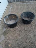 Twee speciekuipen te koop, Ophalen of Verzenden, Gebruikt