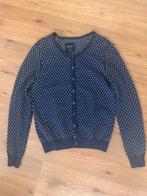 Vestje bien bleu maat L, Kleding | Dames, Blauw, Maat 42/44 (L), Ophalen of Verzenden, Gedragen