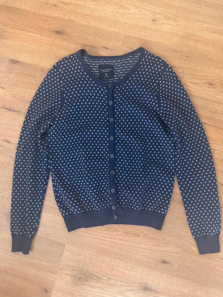 Vestje bien bleu maat L, Kleding | Dames, Truien en Vesten, Gedragen, Maat 42/44 (L), Blauw, Ophalen of Verzenden