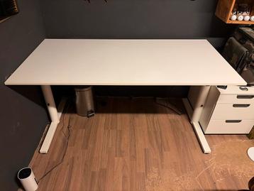 Gispen Bureau - In Hoogte Verstelbaar 160 bij 80 CM beschikbaar voor biedingen