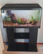 Juwel 80 cm aquarium tekoop, Dieren en Toebehoren, Vissen | Aquaria en Toebehoren, Ophalen, Zo goed als nieuw, Leeg aquarium