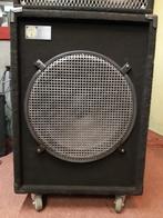 SWR Big Ben Subwoofer, Muziek en Instrumenten, Versterkers | Bas en Gitaar, Ophalen of Verzenden, Gebruikt, Basgitaar, 100 watt of meer