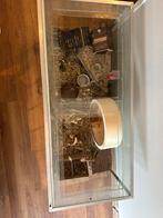 Terrarium, Gebruikt, Minder dan 75 cm, Ophalen, Minder dan 60 cm