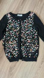 Vest met pailetten maat 134/140, Ophalen of Verzenden, Zo goed als nieuw, Meisje, Trui of Vest