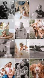 Fotomodel gezocht, Alle leeftijden, Ophalen, Nieuw in verpakking, Overige gebieden