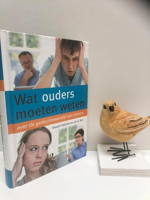 Feldhahn, Shaunti e.a.; Wat ouders moeten weten over de geda, Boeken, Psychologie, Gelezen, Ophalen of Verzenden