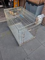 Honden bench, Ophalen, Gebruikt, 75 tot 110 cm, 65 tot 100 cm