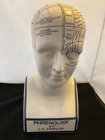 vintage phenology head beschikbaar voor biedingen