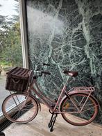 Popal Transportfiets Daily Dutch Basic Plus Dames Zalm 57cm, Fietsen en Brommers, Fietsen | Dames | Damesfietsen, 56 cm of meer