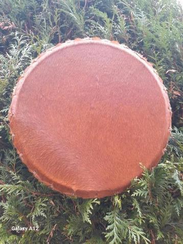 Mooie sjamanendrum van Paard beschikbaar voor biedingen