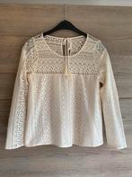 Mooi blouse/truitje van Hollister beige maat S, Ophalen of Verzenden, Zo goed als nieuw, Beige, Korte mouw