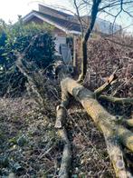 Bomen kappen zagen, Tuin en Terras, Haardhout, Ophalen