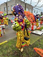 kostuum carnavalsgroep, winnende loopgroep carnaval  2024, Gedragen, Carnaval, Maat 42/44 (L), Kleding