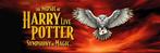 The Music of Harry Potter - Den Bosch / Den Haag, Tickets en Kaartjes