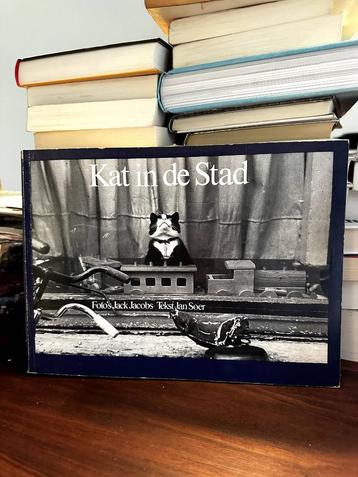 'Kat in de stad' - Jack Jacobs & Jan Soer beschikbaar voor biedingen