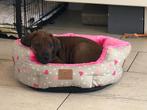 Verwacht: Rhodesian Ridgeback Pups ophalen rond november2025, Dieren en Toebehoren, Honden | Beagles, Bassets en Lopende honden