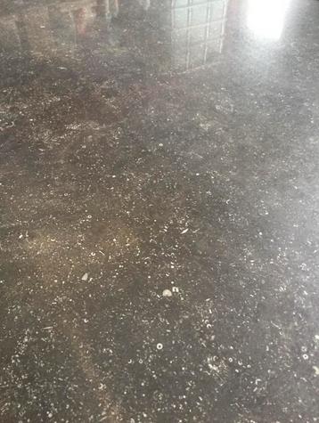 Carrière du kronos namur hardsteen 120x240 luc €19,95 per/m2 beschikbaar voor biedingen