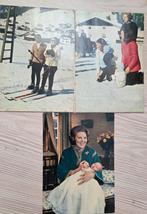 Koninklijke Familie Ansichtkaarten - Diverse Uitgaven, Verzamelen, Ophalen of Verzenden, Gebruikt, Nederland, Kaart, Foto of Prent