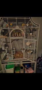 Grote vogelkooi, Dieren en Toebehoren, Ophalen, Zo goed als nieuw, Overige materialen, Vogelkooi