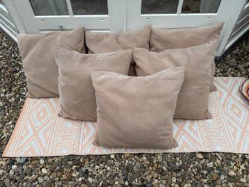 Camel Kussens - Set van 6 beschikbaar voor biedingen