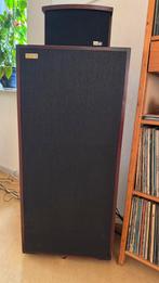 Ess met Solosound boxen, Zo goed als nieuw, 120 watt of meer, Front, Rear of Stereo speakers, Ophalen