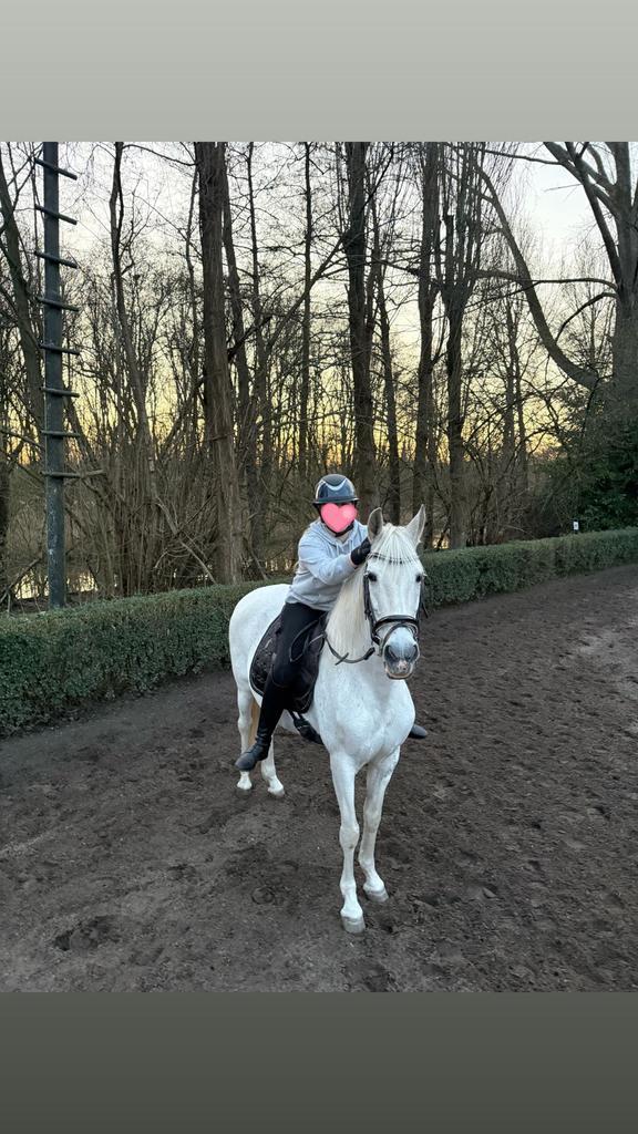 Lieve verzorgster aangeboden!, Dieren en Toebehoren, Paarden en Pony's | Verzorgingsproducten, Ophalen of Verzenden