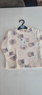 Top Hema maat 74, Ophalen of Verzenden, Nieuw, Meisje, Shirtje of Longsleeve