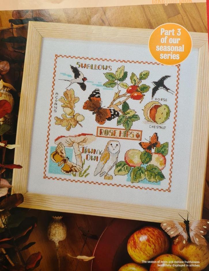 Oogsttijd borduurpatroon met o.a. uil, vlinders, zwaluw, Hobby en Vrije tijd, Borduren en Borduurmachines, Nieuw, Patroon, Handborduren