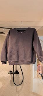 Grijze trui van de Zara, maat 98 (voor 2/3-jarigen), Gebruikt, Meisje, Trui of Vest, Ophalen of Verzenden