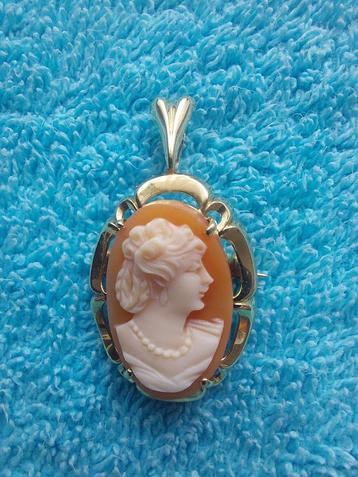 Prachtige 14 Karaat Camee hanger  beschikbaar voor biedingen