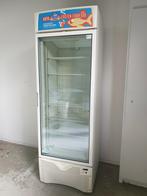 Vriezer met glazen deur, Gebruikt, 160 cm of meer, Vrijstaand, Ophalen