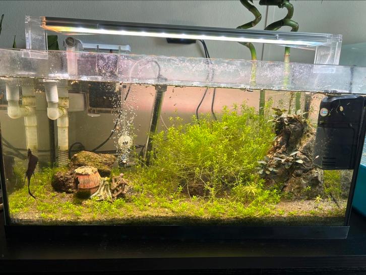 Aquarium aquael 50 L, Dieren en Toebehoren, Vissen | Aquaria en Toebehoren, Zo goed als nieuw, Leeg aquarium, Ophalen