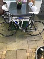 Team Raleigh racefiets, Fietsen en Brommers, Fietsen | Racefietsen, Overige merken, Meer dan 20 versnellingen, Gebruikt, Heren