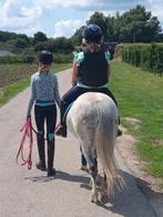 Super knappe en lieve B-pony in prijs gezakt, Dieren en Toebehoren, Pony's, Gechipt, B, Ruin, 7 tot 10 jaar