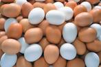 Verse vrije uitloop eieren,  10 stuks  € 2.99, Dieren en Toebehoren, Pluimvee