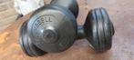 Dumbells 1,5 kg, Ophalen, Zo goed als nieuw, Dumbbell