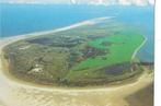 Schiermonnikoog, Verzamelen, Ansichtkaarten | Nederland, Verzenden, 1960 tot 1980, Ongelopen, Friesland