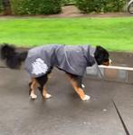 Regencape voor grote (harige) hond, Ophalen of Verzenden, Zo goed als nieuw