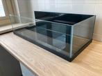 Kweek aquarium 80x35x22, Ophalen, Gebruikt, Leeg aquarium