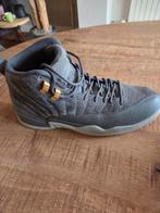 Nike Air Jordan 12 Retro Dark Grey Maat 44, Ophalen of Verzenden, Zwart, Nike, Sneakers of Gympen