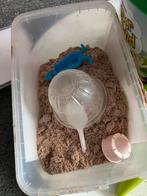 Magic sand/ magisch zand/ super sand., Ophalen of Verzenden