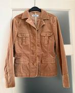 Velours dames blazer., Kleding | Dames, Ophalen of Verzenden, Gedragen